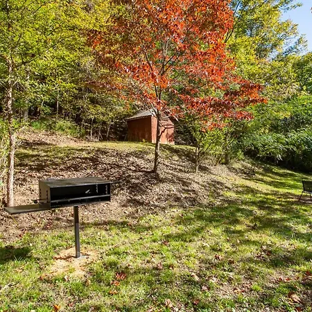 Smoky Bear Suite W Grill Firepit More